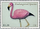 Andean Flamingo Phoenicoparrus andinus  2020 Endangered species 4v set