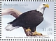 Bald Eagle Haliaeetus leucocephalus  2022 Endangered species 4v set