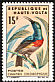 Olive-bellied Sunbird Cinnyris chloropygius  1965 Birds 