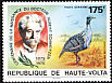 Vulturine Guineafowl Acryllium vulturinum  1975 Albert Schweitzer 