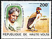 King Vulture Sarcoramphus papa  1975 Albert Schweitzer 