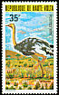 Common Ostrich Struthio camelus  1979 Protected birds 