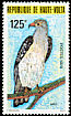 Cassin's Hawk-Eagle Aquila africana  1979 Protected birds 