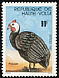 Helmeted Guineafowl Numida meleagris