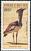 Kori Bustard Ardeotis kori  1984 Birds 