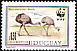 Greater Rhea Rhea americana  1993 WWF 