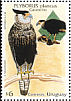 Crested Caracara Caracara plancus  1998 Birds in Uruguay 