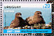 Brown Skua Stercorarius antarcticus  2008 International polar year 2v sheet