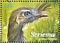 Red-legged Seriema Cariama cristata