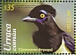 Plush-crested Jay Cyanocorax chrysops