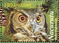 Great Horned Owl Bubo virginianus