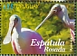 Roseate Spoonbill Platalea ajaja