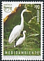 Great Egret Ardea alba  2024 Upaep 