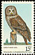 Great Grey Owl Strix nebulosa  1978 Wildlife conservation 