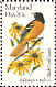 Baltimore Oriole Icterus galbula