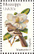 Northern Mockingbird Mimus polyglottos  1982 State birds and flowers 50v sheet, p 10Â½x11