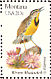 Western Meadowlark Sturnella neglecta  1982 State birds and flowers 50v sheet, p 10Â½x11