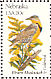 Western Meadowlark Sturnella neglecta