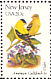 American Goldfinch Spinus tristis