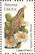 Cactus Wren Campylorhynchus brunneicapillus  1982 State birds and flowers 50v sheet, p 11