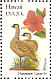 Nene Branta sandvicensis  1982 State birds and flowers 50v sheet, p 11