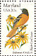 Baltimore Oriole Icterus galbula