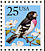 Rose-breasted Grosbeak Pheucticus ludovicianus  1988 Definitives Booklet