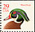 Wood Duck Aix sponsa  1991 Wood Duck Booklet, red inscription