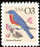 Eastern Bluebird Sialia sialis  1991 Birds 