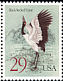 Black-necked Crane Grus nigricollis  1994 Cranes 