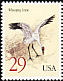 Whooping Crane Grus americana  1994 Cranes 