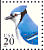 Blue Jay Cyanocitta cristata