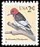 Red-headed Woodpecker Melanerpes erythrocephalus