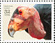 California Condor Gymnogyps californianus  1996 Endangered species Booklet