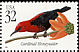 Cardinal Myzomela Myzomela cardinalis  1998 Tropical birds 