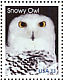 Snowy Owl Bubo scandiacus  1999 Arctic animals 5v strip