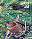 Pacific Wren Troglodytes pacificus  2000 Pacific coast rain forest 10v sheet, sa