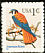 American Kestrel Falco sparverius  2000 American Kestrel sa