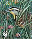 Western Meadowlark Sturnella neglecta  2001 Great Plains prairie 10v sheet, sa