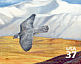 Gyrfalcon Falco rusticolus  2003 Arctic tundra 10v sheet, sa