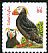 Tufted Puffin Fratercula cirrhata