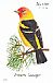 Western Tanager Piranga ludoviciana  2014 Songbirds Booklet, sa