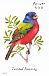 Painted Bunting Passerina ciris  2014 Songbirds Booklet, sa