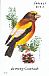 Evening Grosbeak Hesperiphona vespertina  2014 Songbirds Booklet, sa