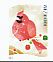 Northern Cardinal Cardinalis cardinalis  2014 Winter fun 5x4v booklet, sa