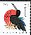 Magnificent Frigatebird Fregata magnificens  2015 Coastal birds sa, ctb