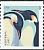Emperor Penguin Aptenodytes forsteri  2015 Penguins sa, from coil
