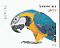 Blue-and-yellow Macaw Ara ararauna  2016 Pets 20v booklet, sa