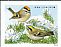 Golden-crowned Kinglet Regulus satrapa  2016 Songbirds in snow 5x4v booklet, sa