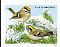 Golden-crowned Kinglet Regulus satrapa  2016 Songbirds in snow 5x4v booklet, sa